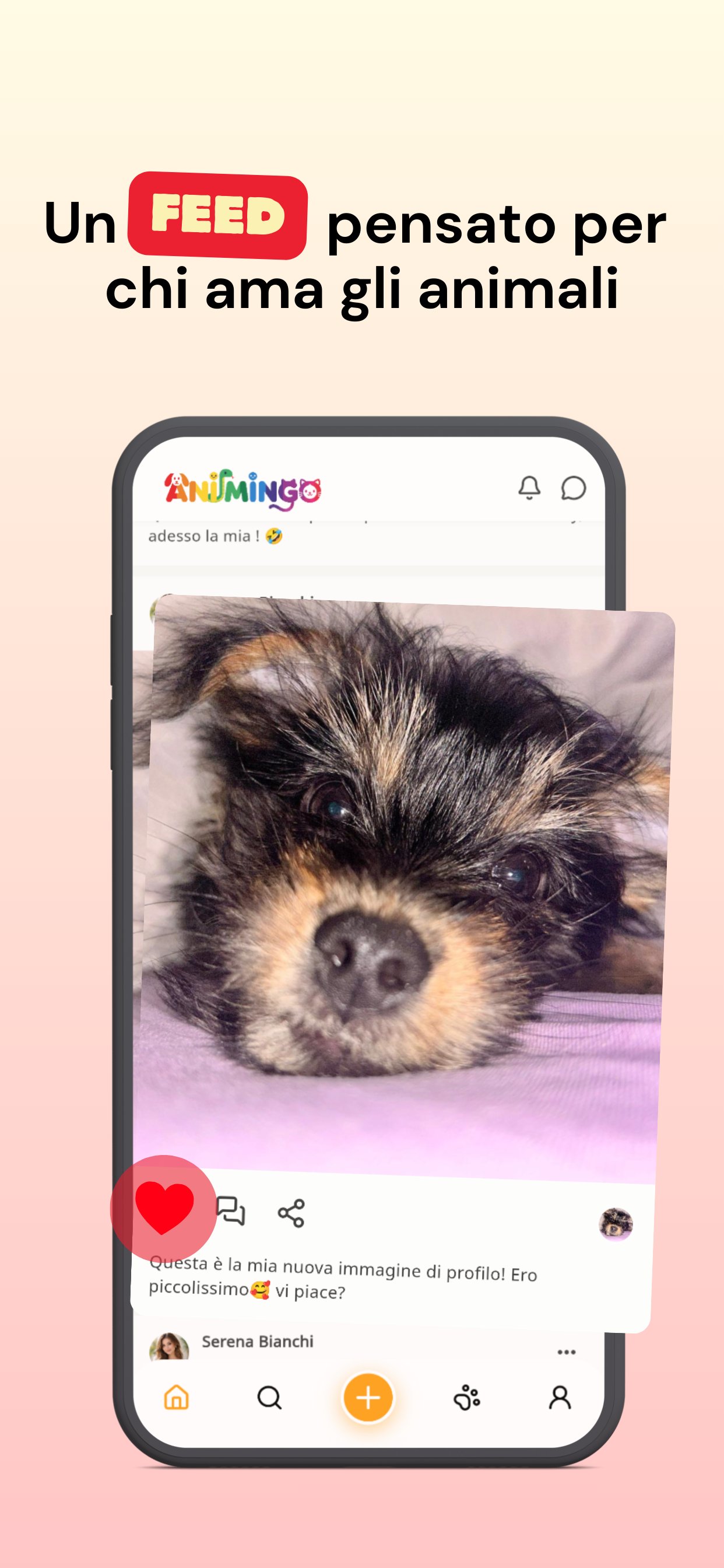 Un Feed pensato per chi ama gli animali