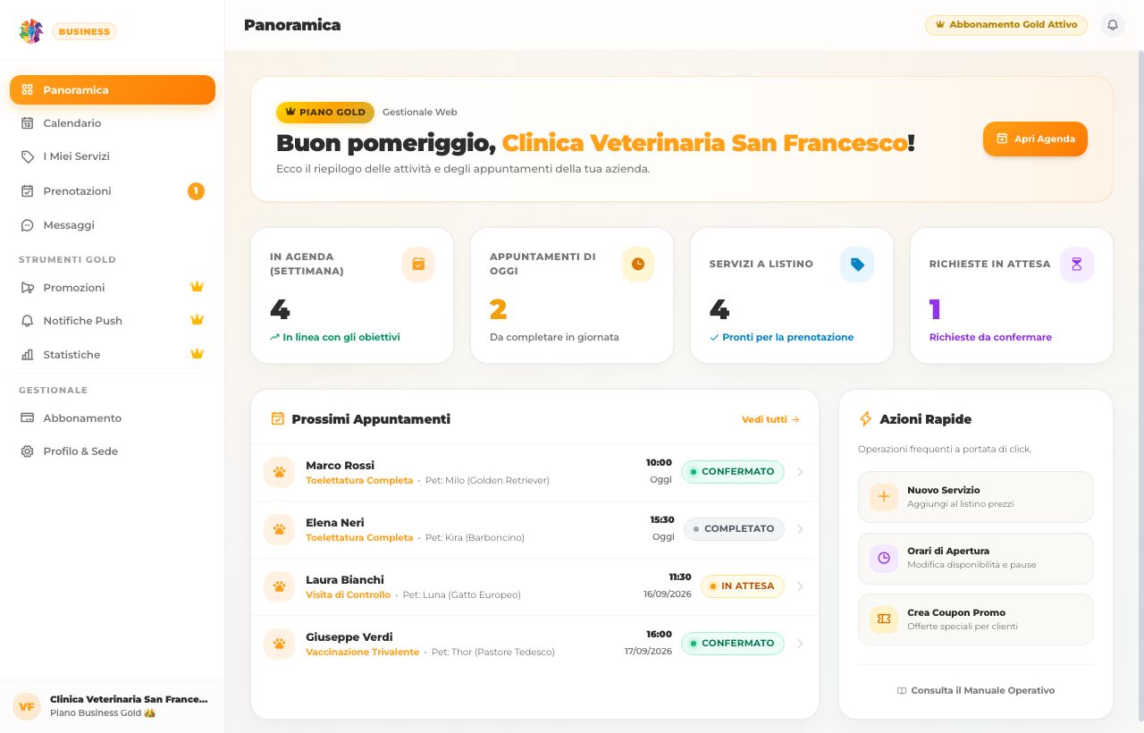 Dashboard Web Animingo Business